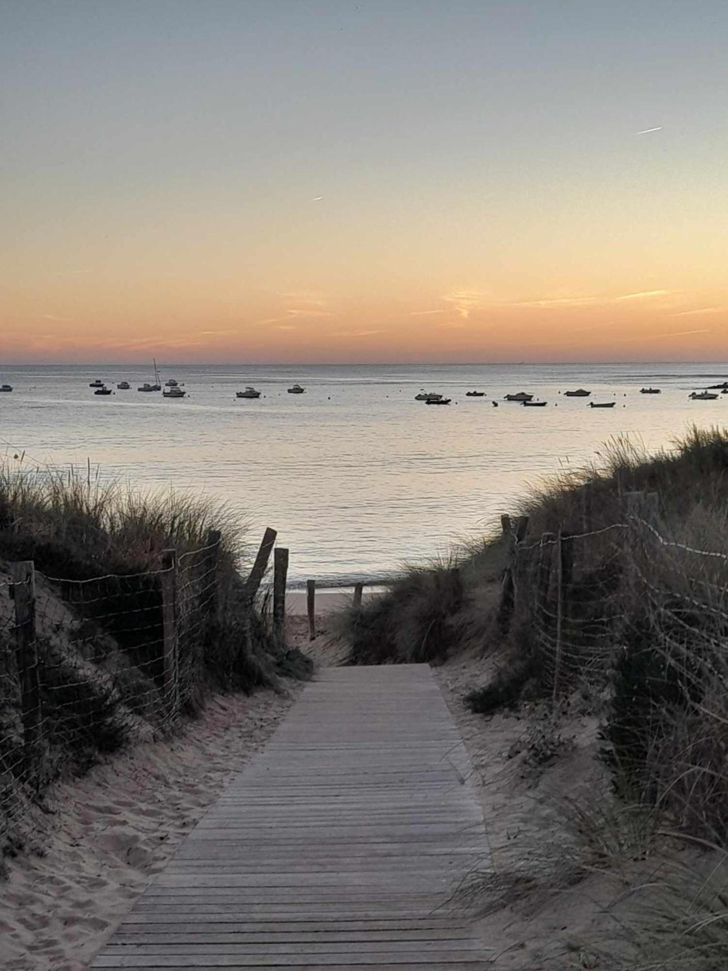 Appartement Aloha Ohana 4-6 Personnes A 400M De La Plage A Dolus D'Oleron Luaran gambar